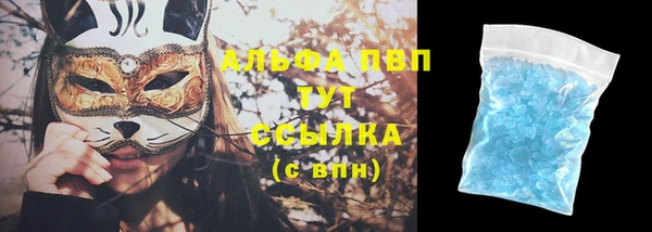 стаф Бородино