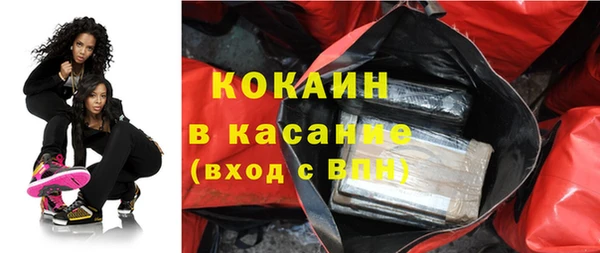 сатива Бронницы