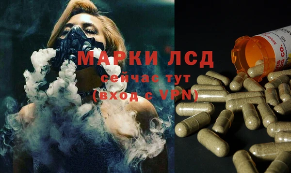 стаф Бородино