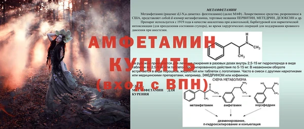 сатива Бронницы