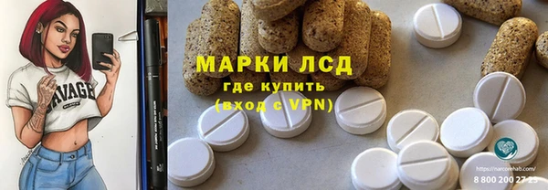 стаф Бородино